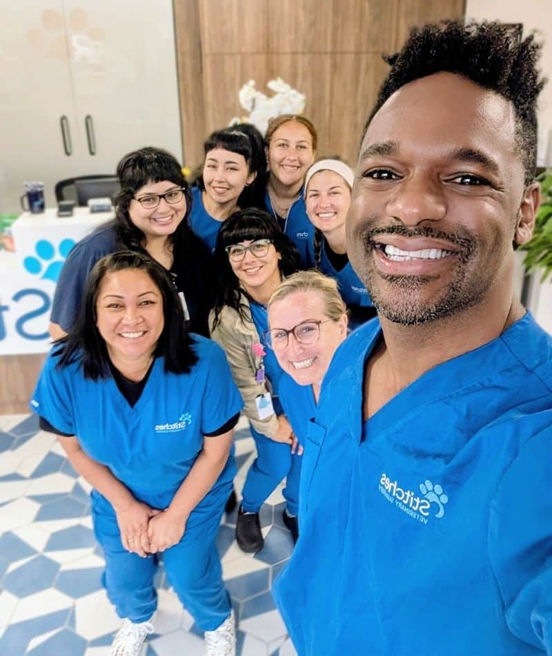 Stitches Veterinary Surgery veterinary team
