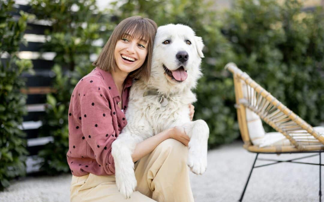 Why Choose a Board-Certified Veterinary Surgeon for Your Pet’s Procedure?
