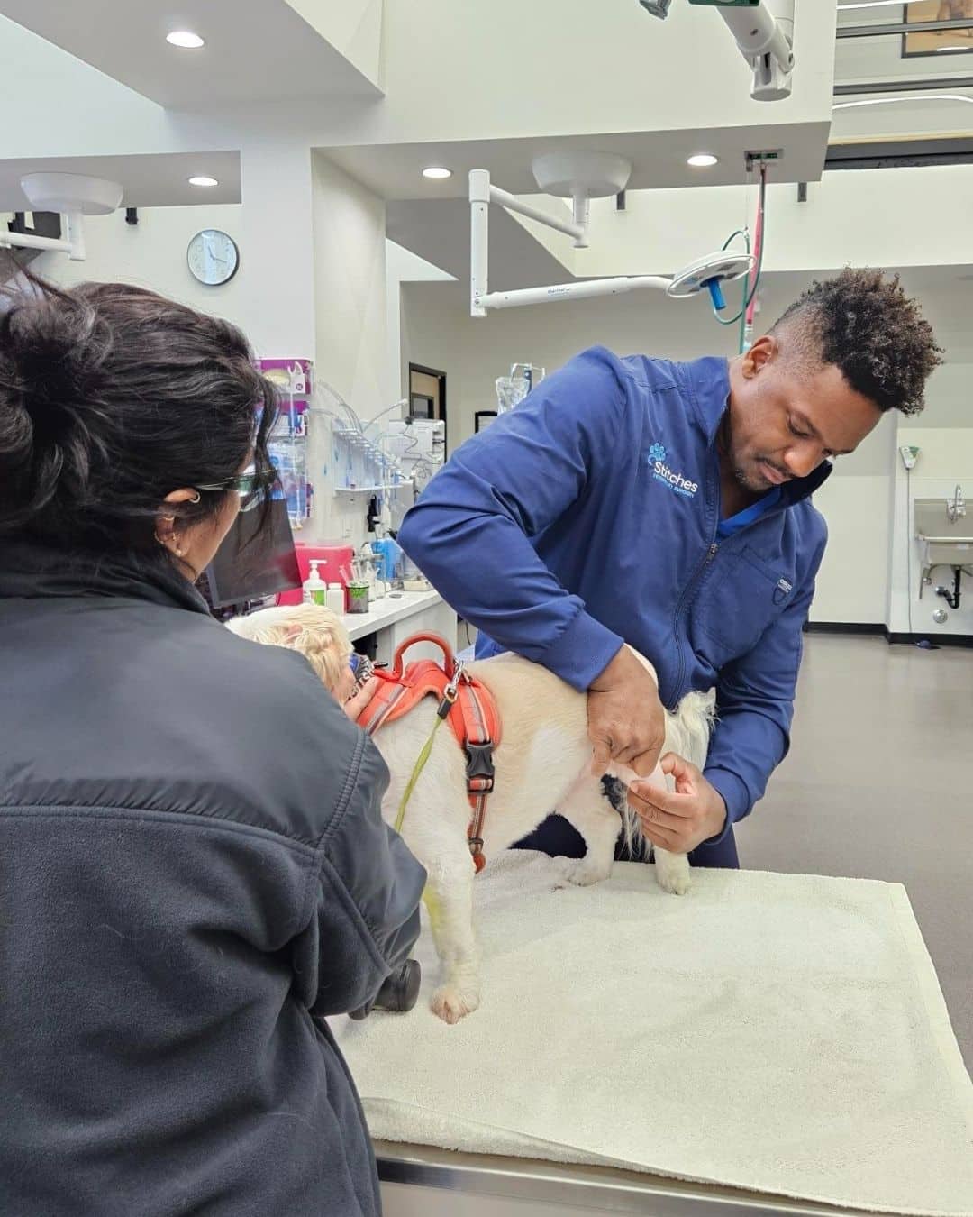 A serene ginger cat resting in a persons lap